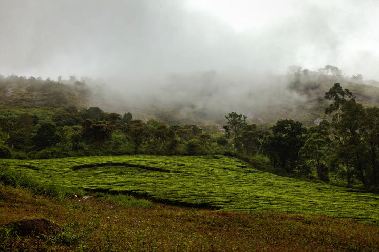 13. Meghamalai